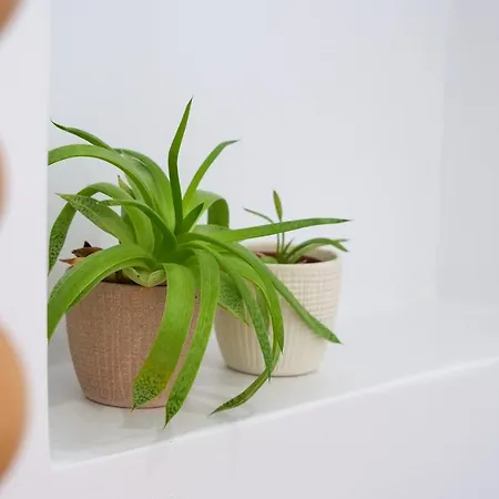 Theodora Luxury 公寓 Naxos City