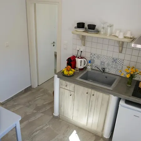 公寓 Theodora Luxury Naxos City