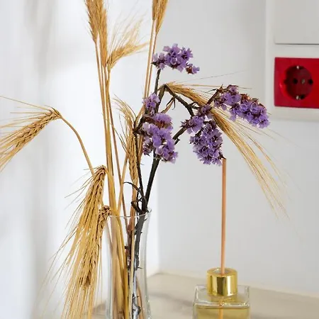 Apartman Theodora Luxury *