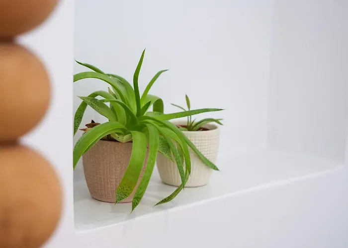 Theodora Luxury Appartamento Naxos City